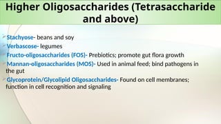 Higher Oligosaccharides (Tetrasaccharide
and above)
Stachyose- beans and soy
Verbascose- legumes
Fructo-oligosaccharides (FOS)- Prebiotics; promote gut flora growth
Mannan-oligosaccharides (MOS)- Used in animal feed; bind pathogens in
the gut
Glycoprotein/Glycolipid Oligosaccharides- Found on cell membranes;
function in cell recognition and signaling
 