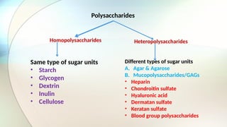 Polysaccharides
Homopolysaccharides Heteropolysaccharides
Same type of sugar units
• Starch
• Glycogen
• Dextrin
• Inulin
• Cellulose
Different types of sugar units
A. Agar & Agarose
B. Mucopolysaccharides/GAGs
• Heparin
• Chondroitin sulfate
• Hyaluronic acid
• Dermatan sulfate
• Keratan sulfate
• Blood group polysaccharides
 