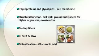 Glycoproteins and glycolipids – cell membrane
Structural function- cell wall, ground substances for
higher organisms, exoskeleton
Dietary fibers
In DNA & RNA
Detoxification – Glucuronic acid
 