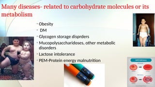 Many diseases- related to carbohydrate molecules or its
metabolism
• Obesity
• DM
• Glycogen storage disprders
• Mucopolysaccharidoses, other metabolic
disorders
• Lactose intolerance
• PEM-Protein energy malnutrition
 