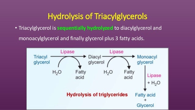 Chemistry of chemistry of lipids Chemistry of chemistry of lipids