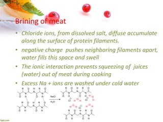 Brine Science Chemistry of cooking a brief view | PPTX
