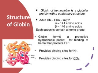 Hba Structure Chemistry of Hskssjkskkwiiwiiiwiqiwiqiiii | PPTX