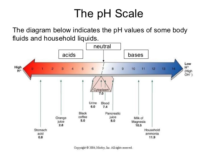 Chemistry of Life