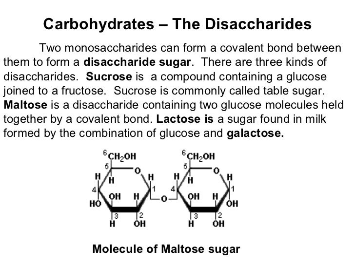 chemistry of life when two monosaccharides bond to form a disaccharide
