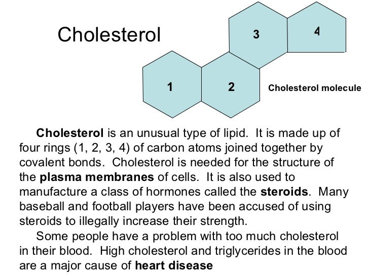 A Type Of Lipid That Consists Of Four Carbon Rings A Type Of Lipid That Consists Of Four Carbon Rings