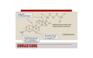 Chemistry of lipid | PPTX