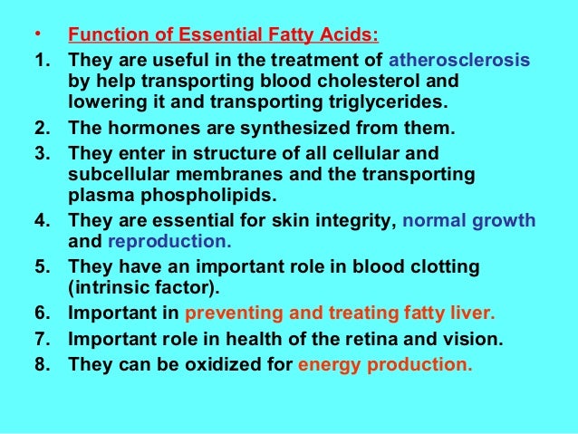 function of fatty acids