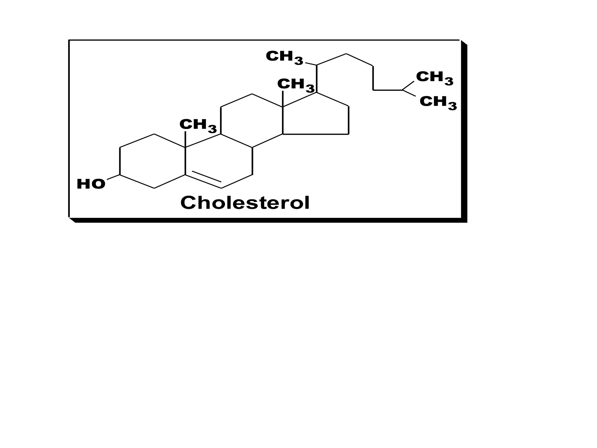 CH3
CH3
HO
CH3
CH3
CH3
Cholesterol
 