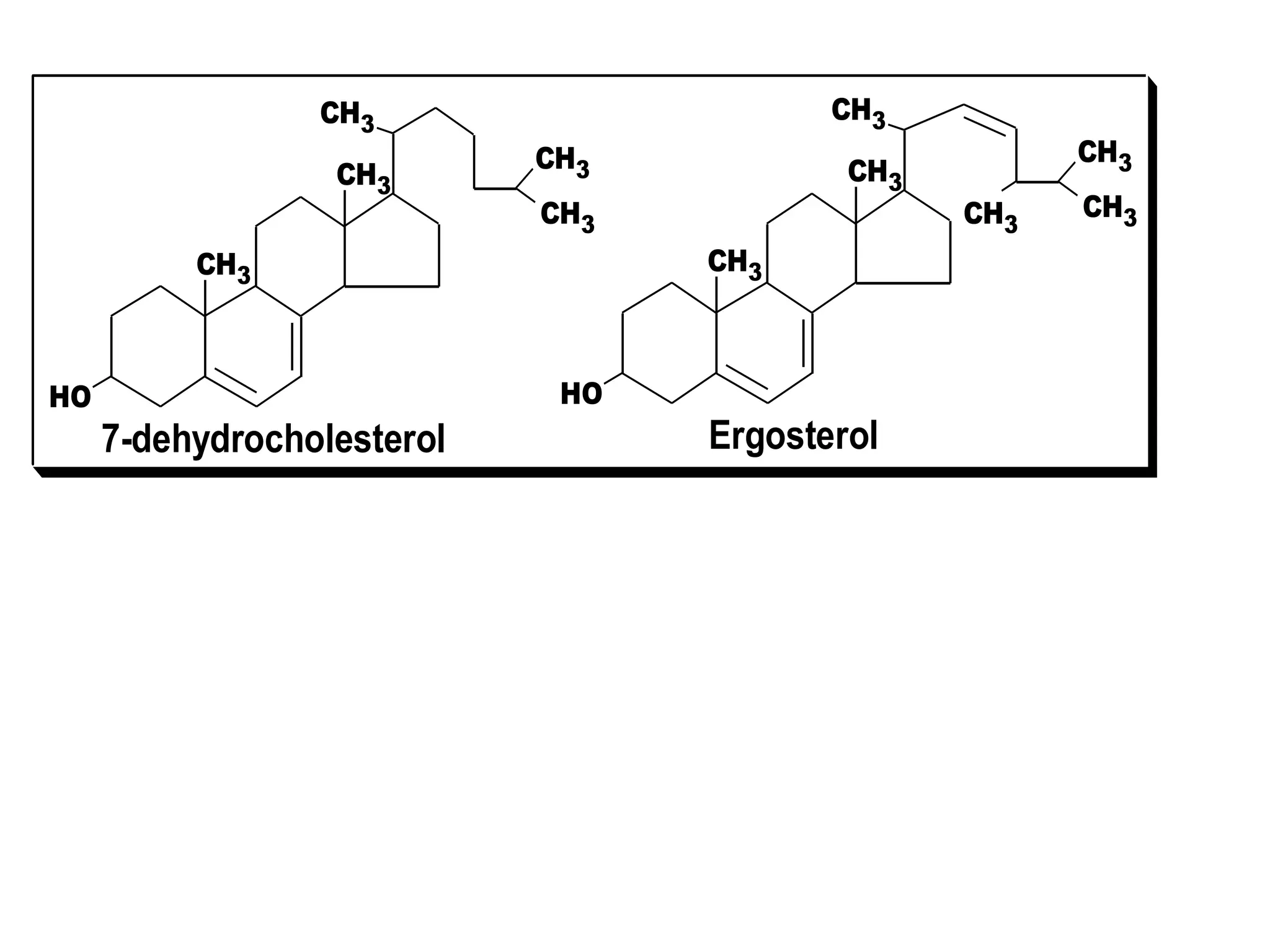 CH3
CH3
HO
CH3
CH3
CH3
7-dehydrocholesterol
CH3
CH3
HO
CH3
CH3
CH3
Ergosterol
CH3
 