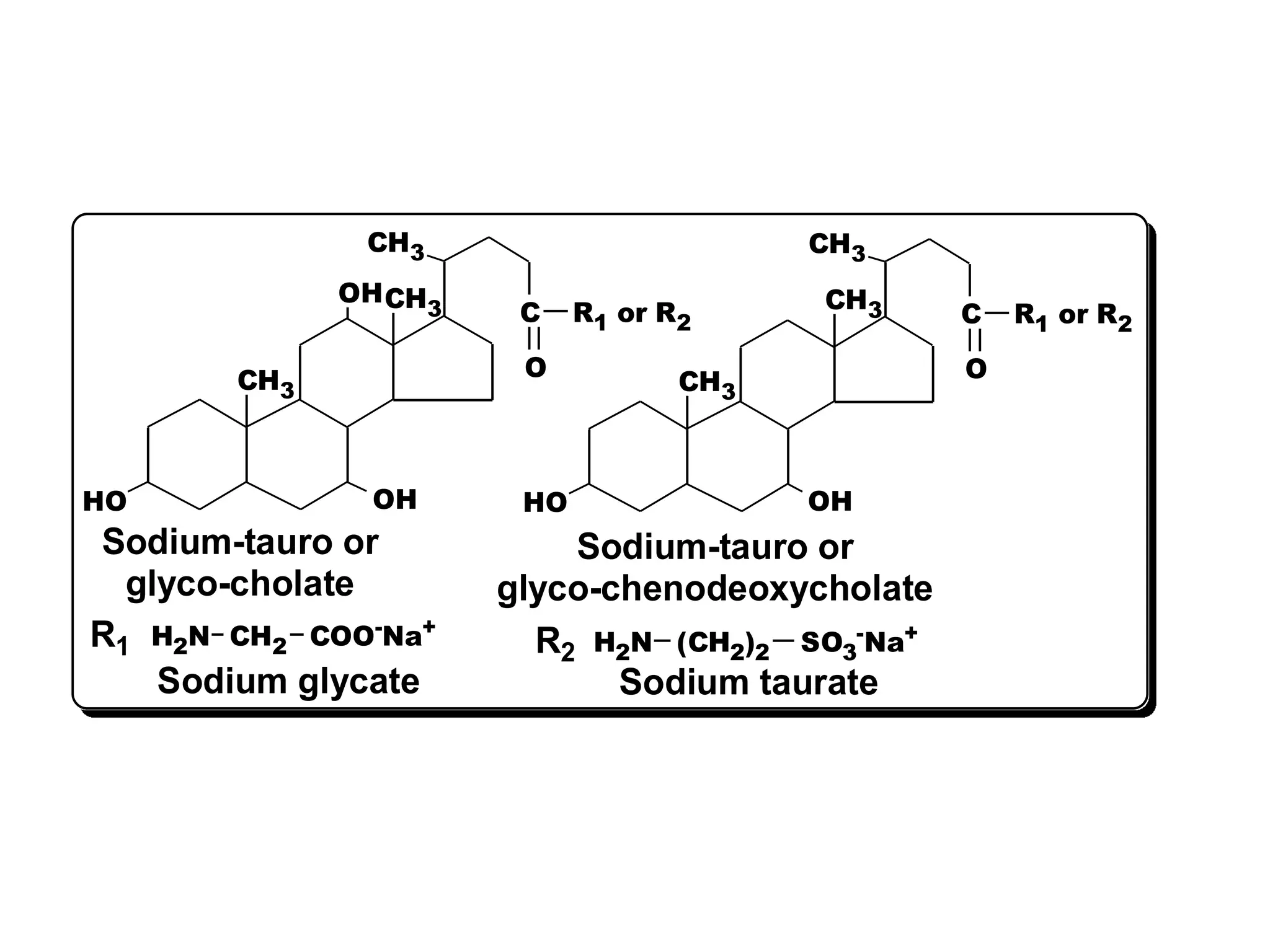 CH3
CH3
HO
CH3
C
Sodium-tauro or
glyco-cholate
CH3
CH3
HO
CH3
C
Sodium-tauro or
glyco-chenodeoxycholate
OH
OH OH
O O
R1 or R2 R1 or R2
(CH2)2 SO3
-Na+
H2N
CH2 COO-Na+
H2N
Sodium taurate
Sodium glycate
R1 R2
 