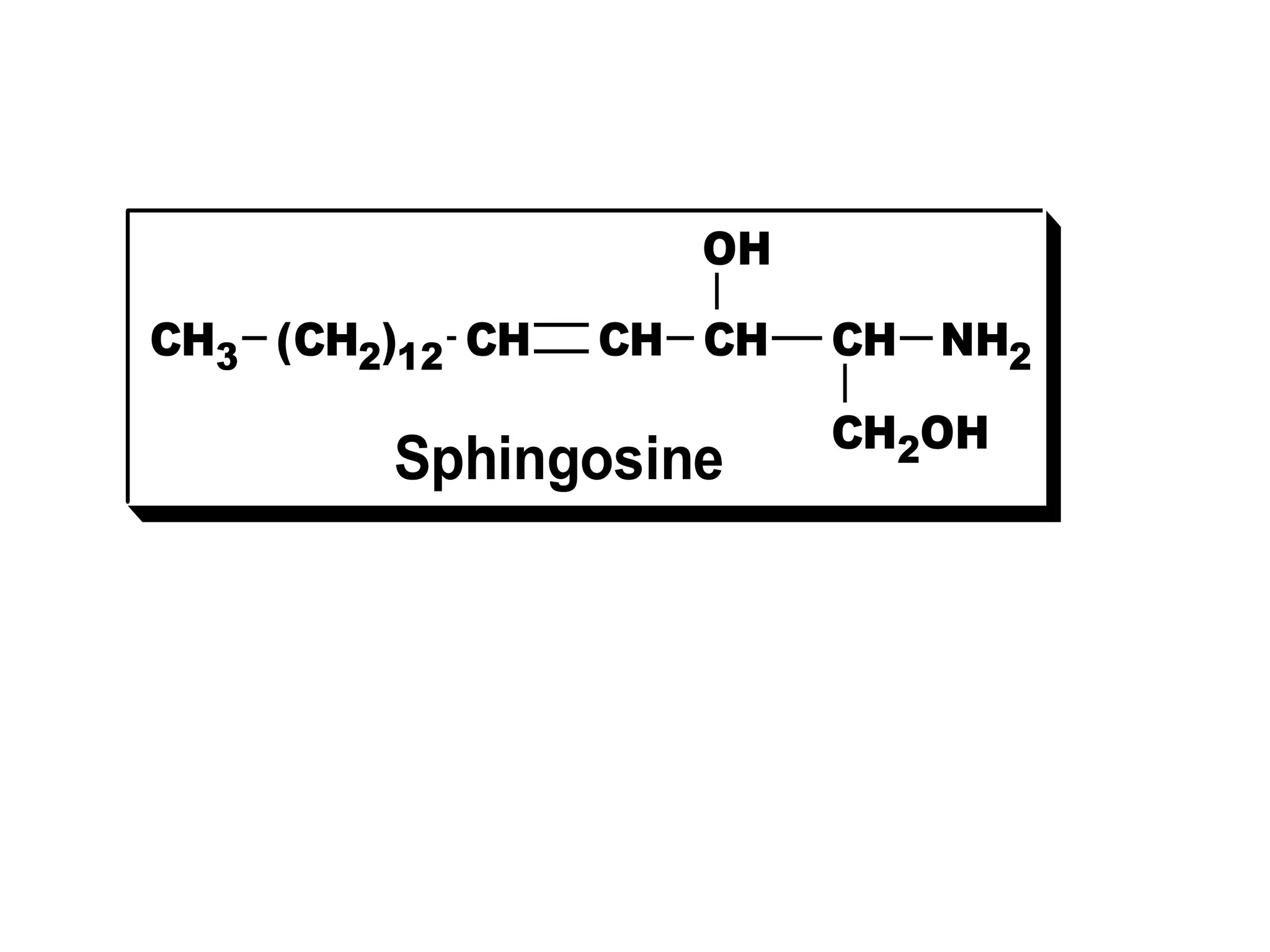CH CH NH2
CH2OH
CH
CH
(CH2)12
CH3
OH
Sphingosine
 