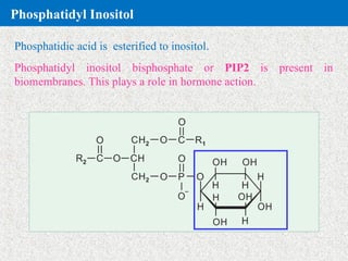 Pip2 Inositol Chemistry of lipids for nursing students.ppt