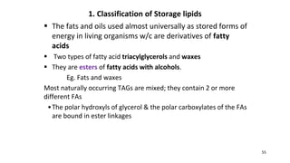 lipids catabolism and anabolism biochemistry.pptx