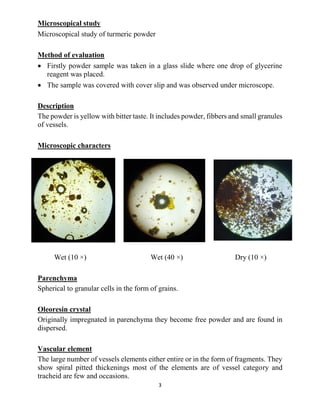 Turmeric Root Powder Under Microscope Chemistry of Natural Product (CNP) Turmeric powder (Curcuma longa).pdf