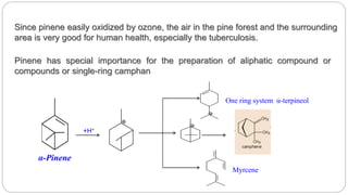 Since pinene easily oxidized by ozone, the air in the pine forest and the surrounding
area is very good for human health, ...