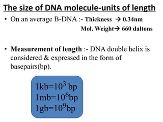 Chemistry of nucleic acid | PPTX