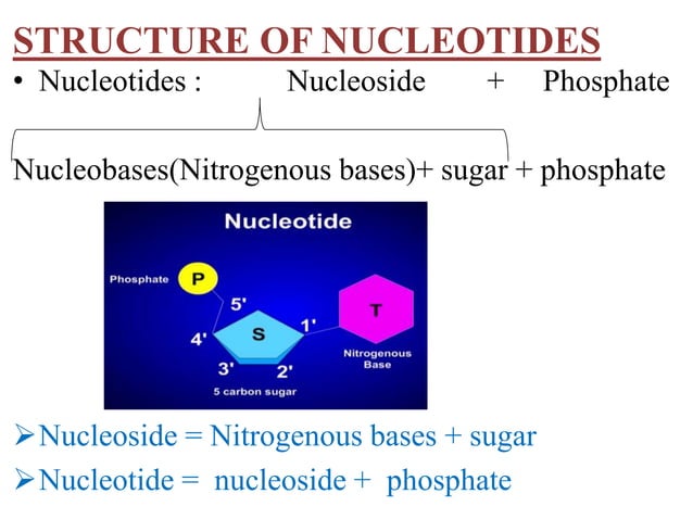 Chemistry of nucleic acid