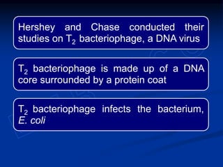 The bacteriophage multiplies inside the
infected E. coli
When the number of viruses becomes too
large, the bacterial cell ...