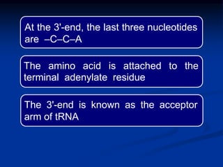 Chemistry of nucleic acids