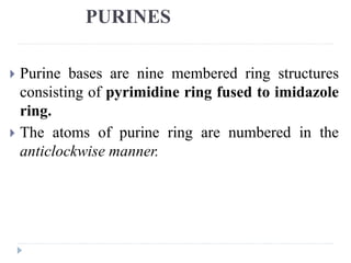 PURINE ANALOG
 They have structural similarities but inhibit the enzymes involved
in the metabolism of purine nucleotides...