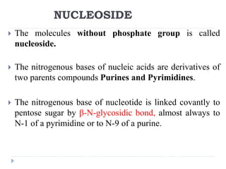 FUNCTIONS OF NUCLEOTIDES
 Activated precursors of DNA & RNA.
 ATP – Universal currency of energy.
 GTP-involved in prot...