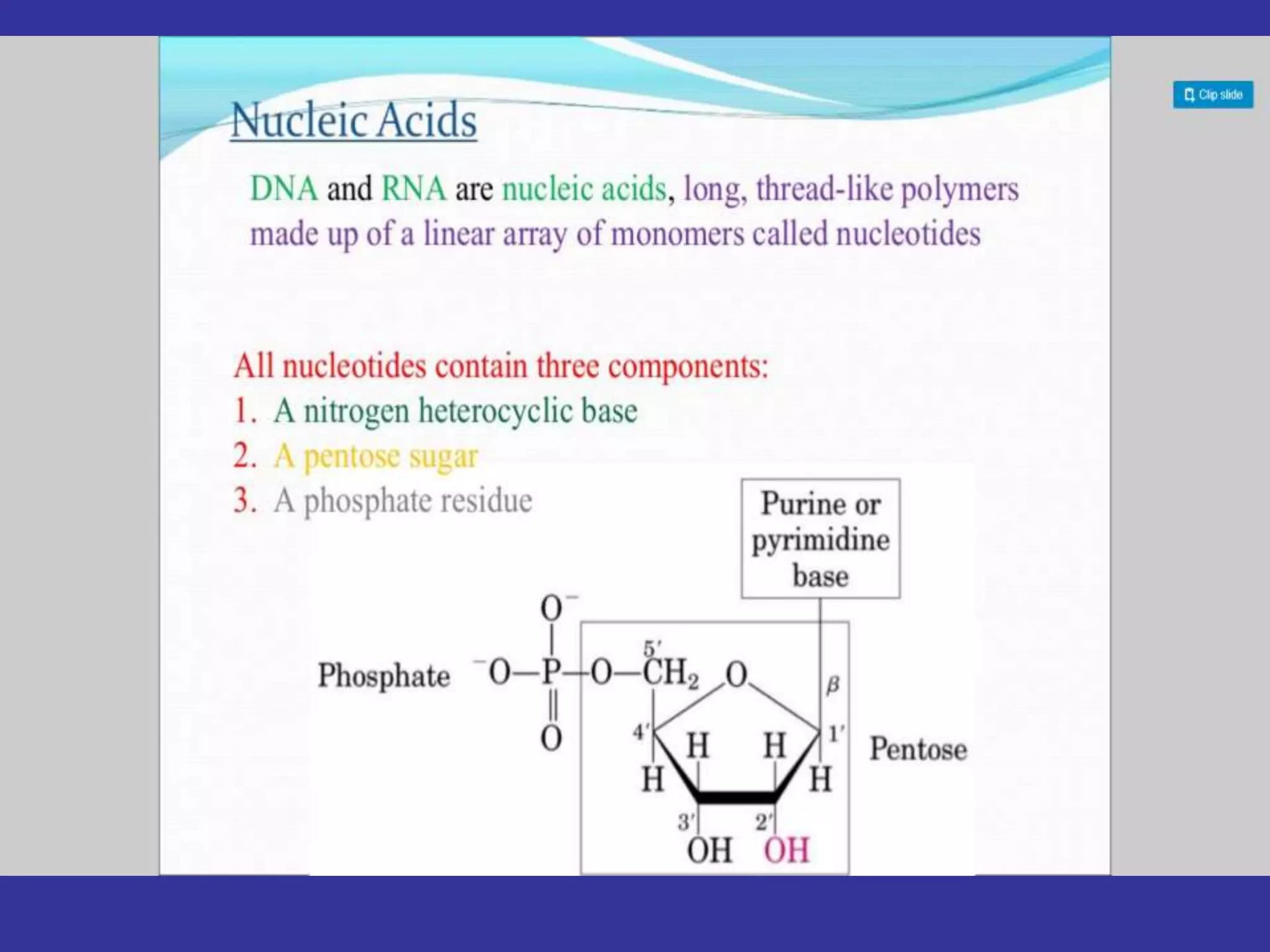 Chemistry of nucleic acids | PPT