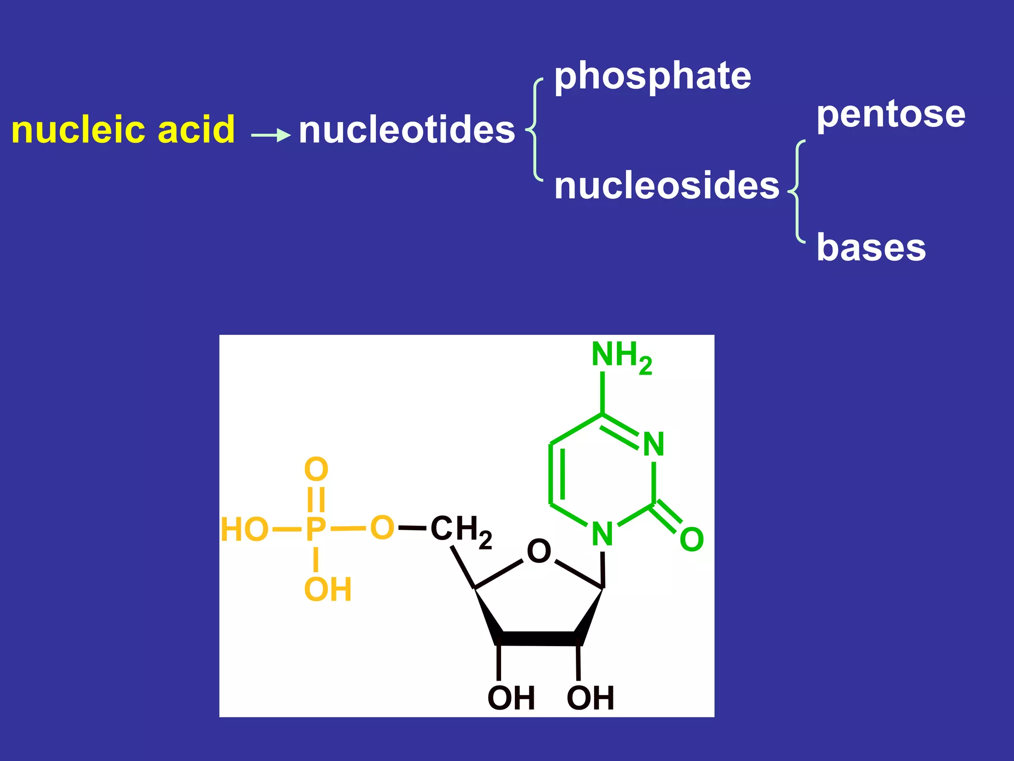 Chemistry of nucleic acids | PPT