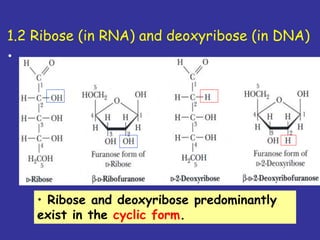 Chemistry of nucleic acids | PPT