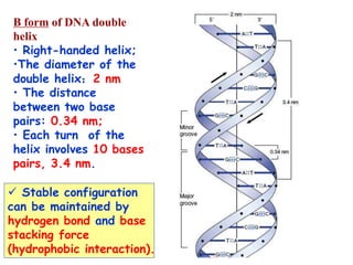Chemistry of nucleic acids | PPT