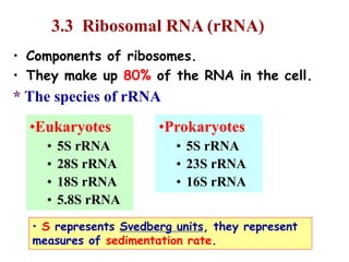 Chemistry of nucleic acids | PPT