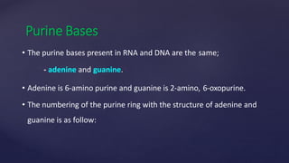 Chemistry of nucleotides | PPTX