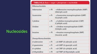 Neceotide Table Chemistry of nucleotides | PPTX