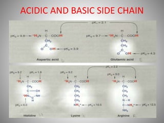 Chemistry of protein and Amino Acids.pptx
