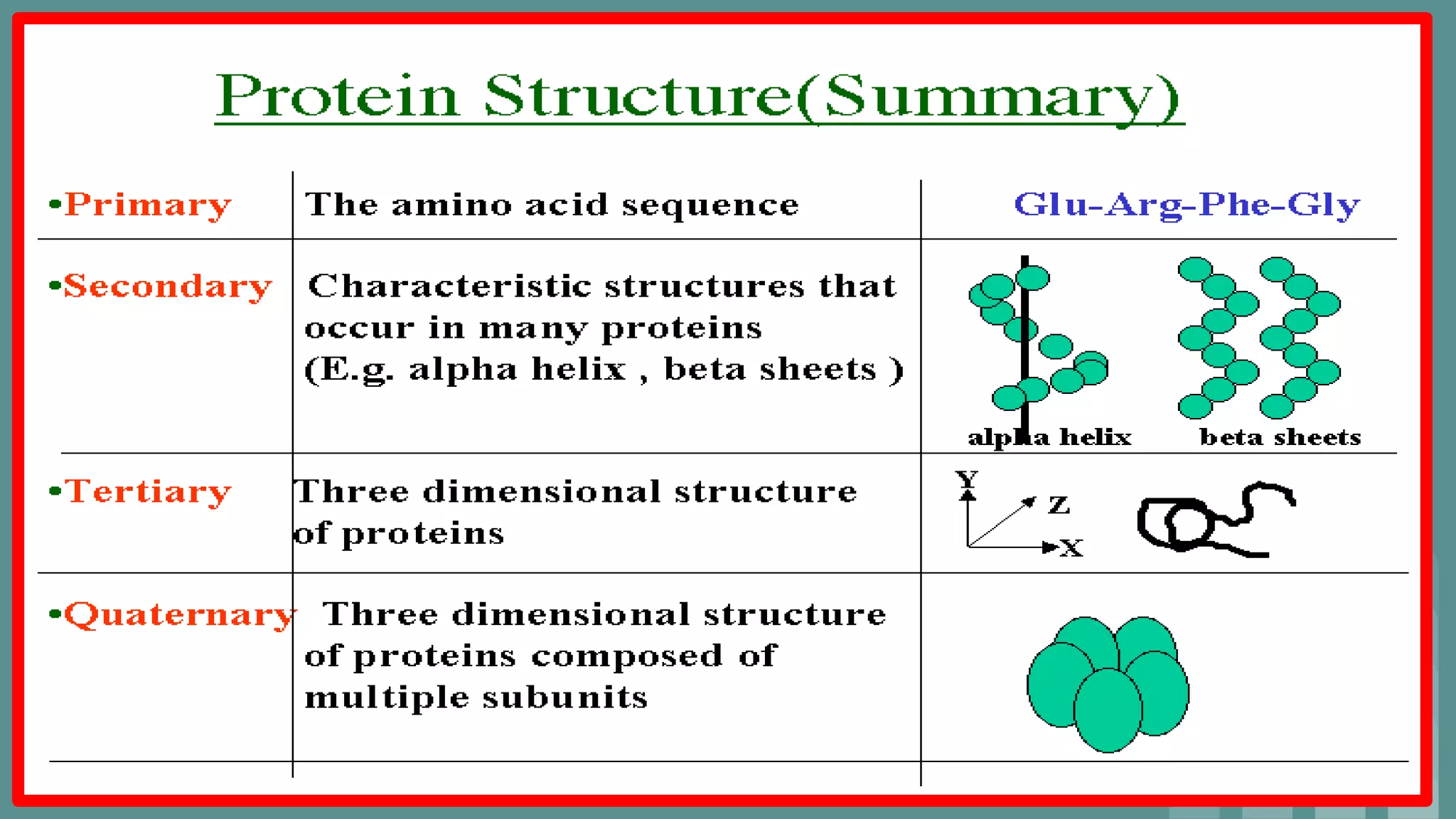Chemistry of proteins, primary structure, secondary structure,alpha ...