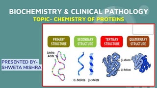 BIOCHEMISTRY & CLINICAL PATHOLOGY
TOPIC- CHEMISTRY OF PROTEINS
PRESENTED BY-
SHWETA MISHRA
 