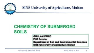MNS University of Agriculture, MultanMNS University of Agriculture, Multan
Sunday, January 19, 2020MNS University of Agriculture, Multan 1
CHEMISTRY OF SUBMERGED
SOILS
GHULAM FARID
PhD Scholar
Department of Soil and Environmental Sciences
MNS-University of Agriculture Multan
 