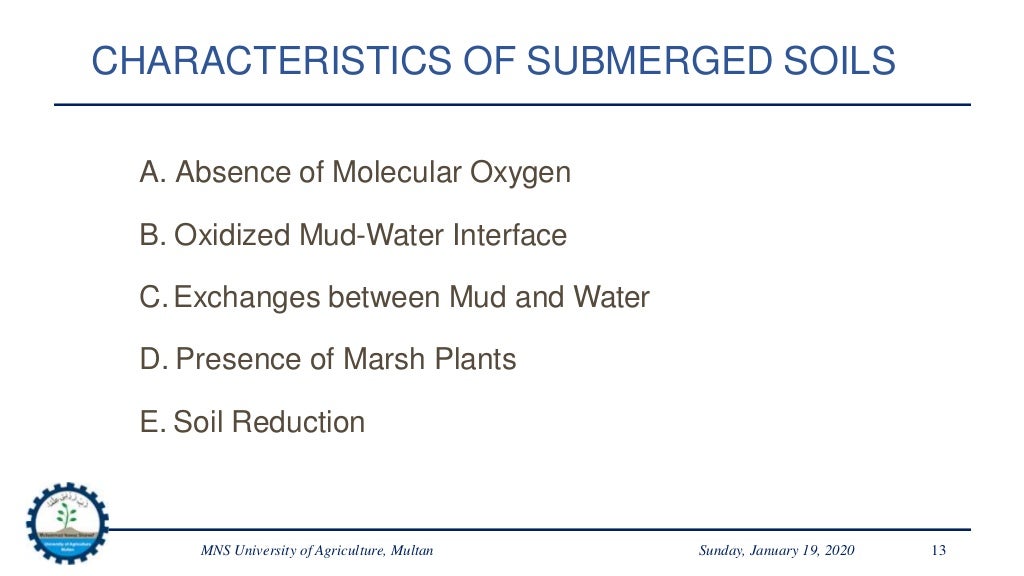 Chemistry of Submerged Soils