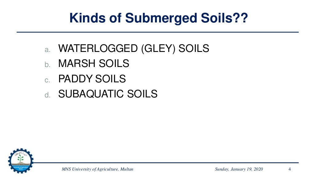 Chemistry of Submerged Soils