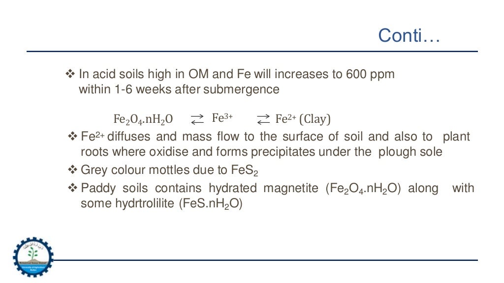 Chemistry of Submerged Soils
