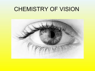 CHEMISTRY OF VISION
 