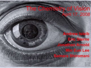 The Chemistry of Vision April 17, 2008 Andrew Isleib Eric Sterne Jonathan Arnold Min Eun Lee Samara Shiromani 