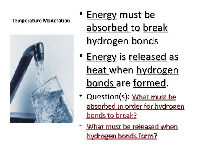 Properties Of Water Worksheet Biology