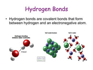 Hydrogen Bonds Hydrogen bonds are covalent bonds that form between hydrogen and an electronegative atom.  