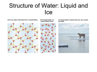 Structure of Water: Liquid and Ice In ice, water molecules form a crystal lattice. In liquid water, no crystal lattice forms. Liquid water is denser than ice. As a result, ice floats. 