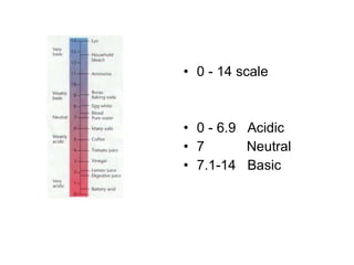 0 - 14 scale 0 - 6.9  Acidic 7  Neutral 7.1-14  Basic 
