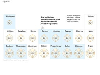 Figure 2-3 The highlighted elements are the most abundant elements found in organisms Number of unpaired electrons = valence,  also # of bonds that could be created. 