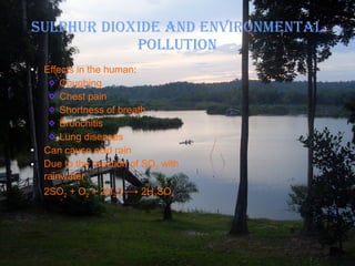 SULPHUR DIOXIDE AND ENVIRONMENTAL POLLUTION Effects in the human: Coughing Chest pain Shortness of breath Bronchitis Lung diseases Can cause acid rain Due to the reaction of SO 2  with rainwater 2SO 2  + O 2  + 2H 2 O  ->  2H 2 SO 4 