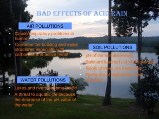 BAD EFFECTS OF ACID RAIN Cause respiratory problems in human Corrodes the building and metal structures especially with carbonate and active metal Lakes and rivers become acidic A threat to aquatic life because the decrease of the pH value of the water  pH of the soil decreases Salts are leached out of the top soil Roots of trees are destroyed Plants die of malnutrition and diseases AIR POLLUTIONS WATER POLLUTIONS SOIL POLLUTIONS 