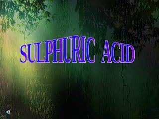 SULPHURIC  ACID 